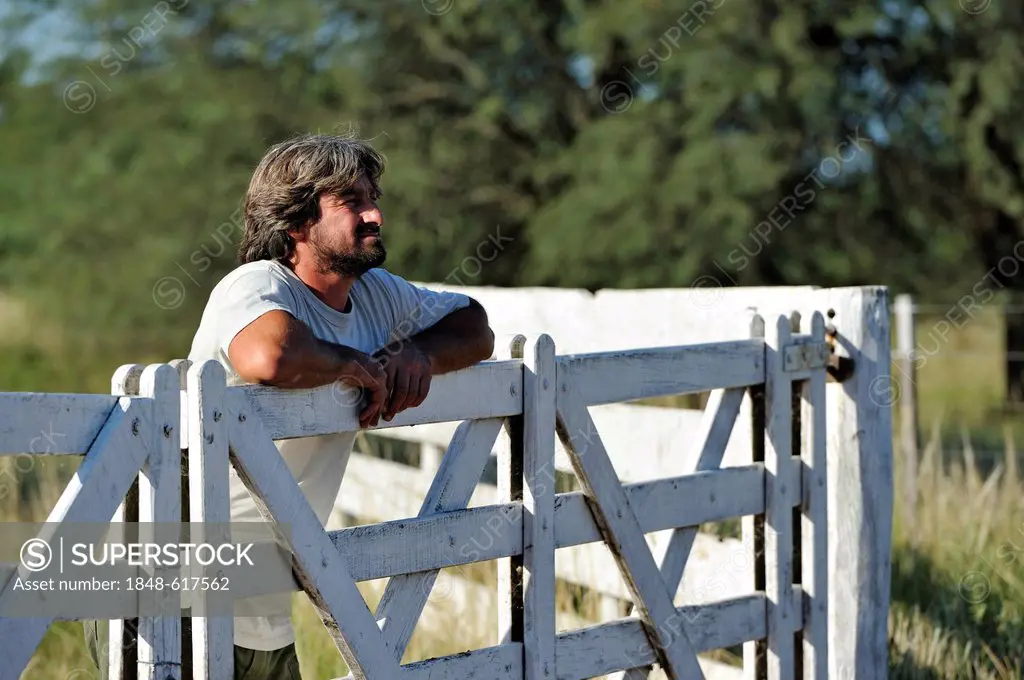 Smallholder looking over the wooden gate to the neighbouring fields cultivated by a great land owner, soybean plantation, Gran Chaco, Santiago del Est...