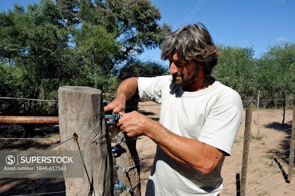 Smallholder repairing a fence to emphasise the claim to the land cultivated by him, great land owners and investors try to claim his land, land grabbi...