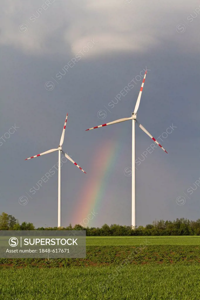 Windpark at the Marchfeld, Lower Austria, Austria