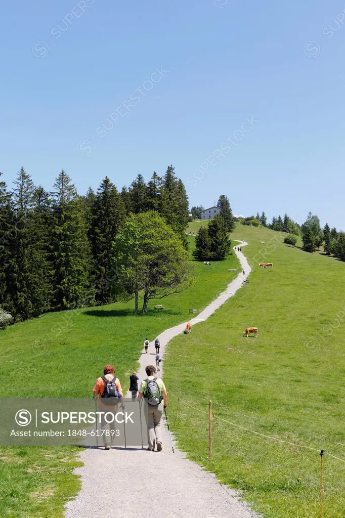 Hiking trail, Neureuth-Haus hut, Neureuth near Tegernsee, Mangfall Mountains, Bavarian Prealps, Upper Bavaria, Bavaria, Germany, Europe, PublicGround