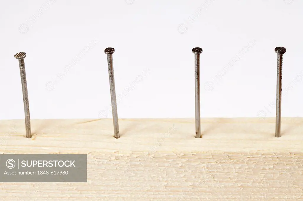 Strip of wood with nails
