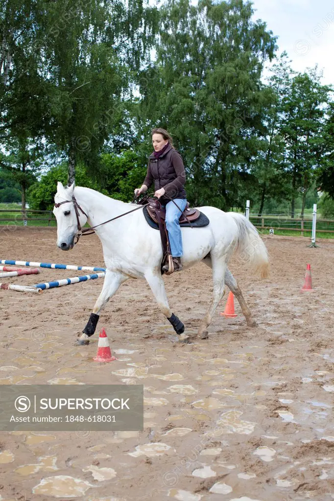 Woman, 35 years, riding a white horse on a muddy paddock