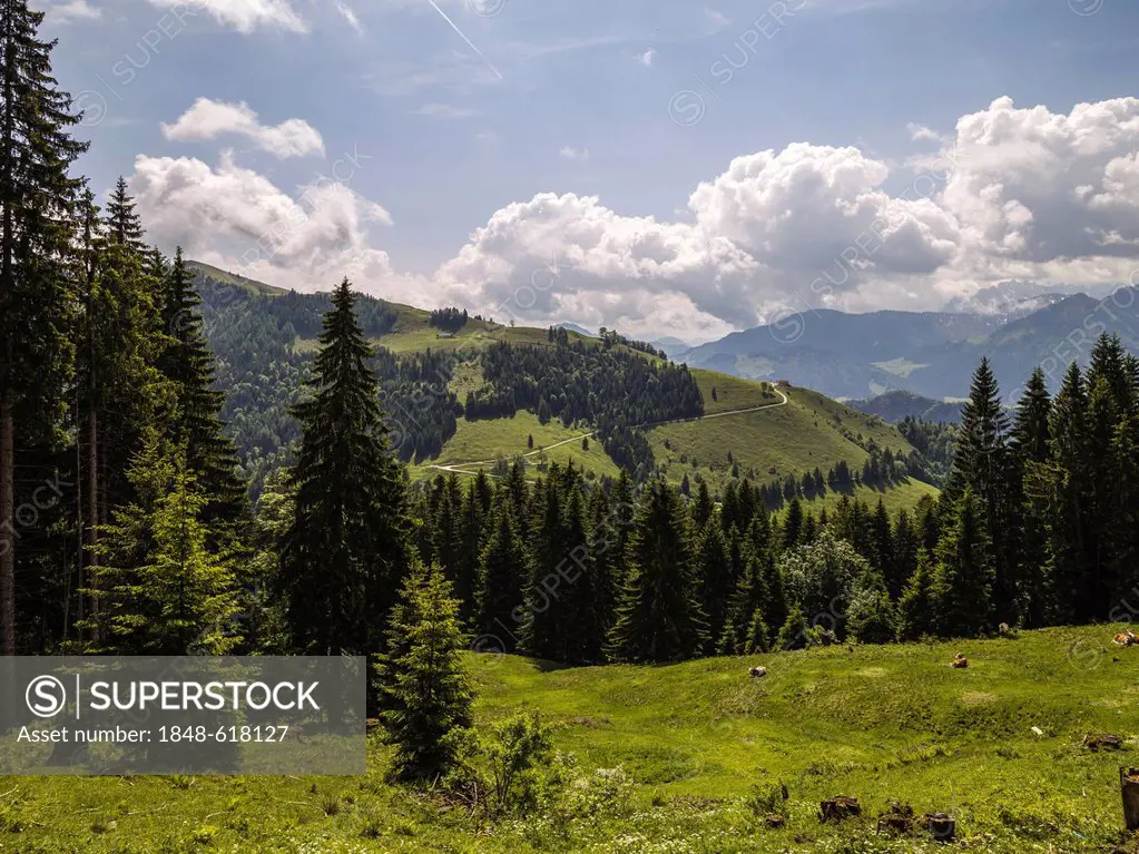 Hiking trail in the mountains near Rettenschloess, Tyrol, Austria, Europe