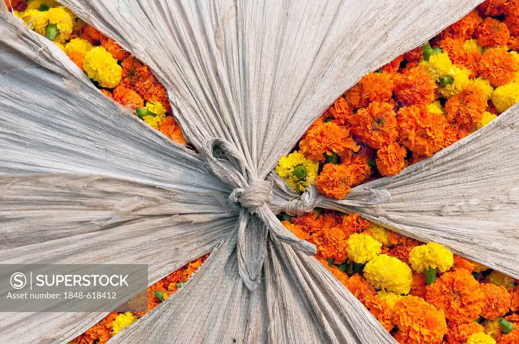 Marigold flowers, flower market, Howrah Bridge, Kolkata or Calcutta, West Bengal, East India, India, Asia