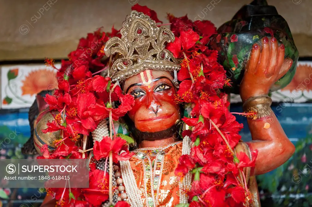 Hanuman, Hindu monkey god, red hibiscus flowers, Calcutta or Kolkata, West Bengal, East India, India, Asia