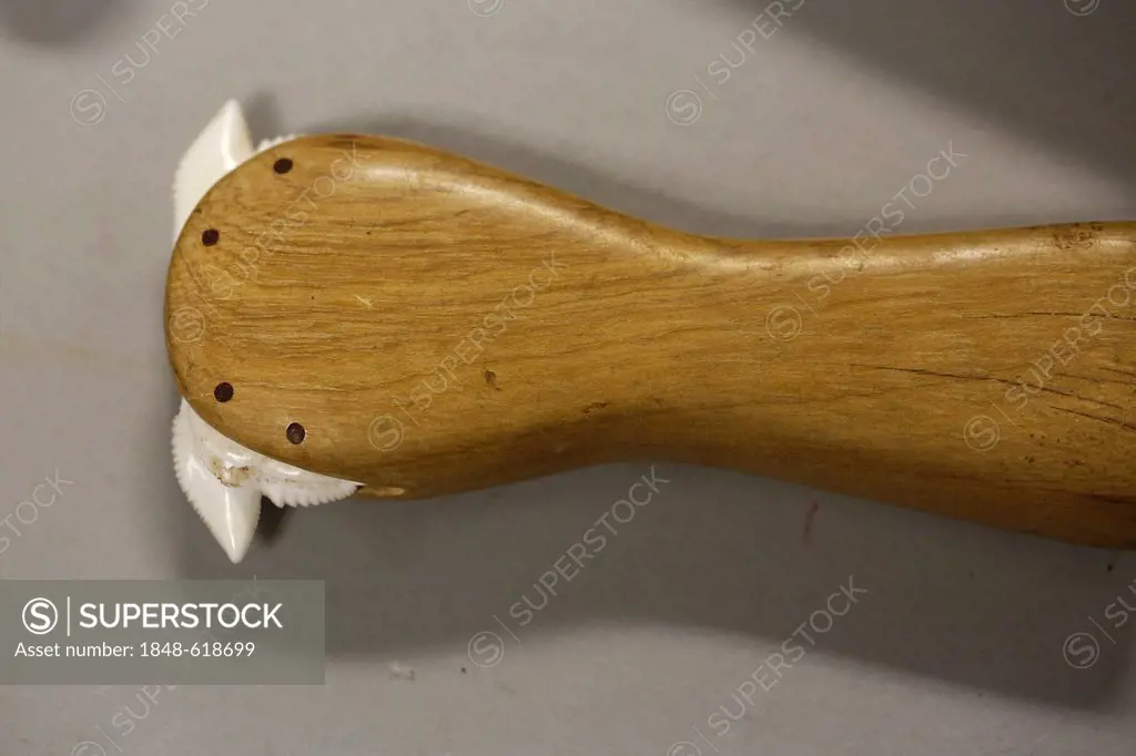 Hawaiian native tool produced from a shark's tooth, Big Island, Hawaii, USA