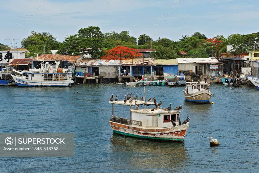 Fishing boats and pelicans (Pelecanidae) in the port of Puntarenas, Costa Rica, Central America