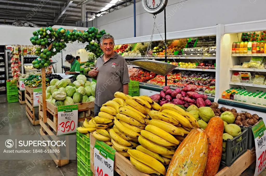 Elderly man, tourist shopping at a supermarket offering fruit and vegetables, near Puntarenas, Costa Rica, Central America
