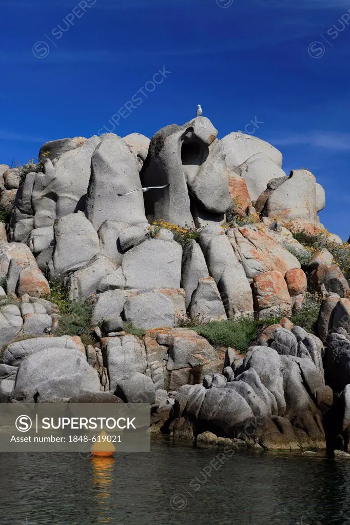 Rock formations, Lavezzi Islands Nature Reserve, Southern Corsica, Corsica, France, Europe