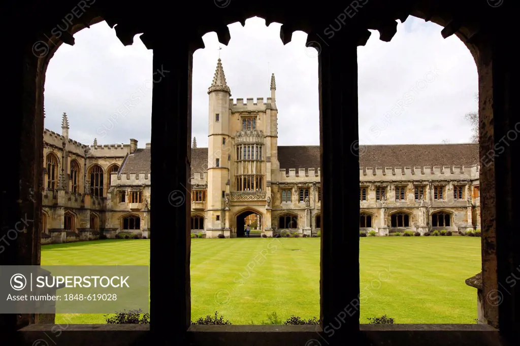 The Cloister, Magdalen College, one of 39 colleges, all of which are independent and together form the University of Oxford, Oxford, Oxfordshire, Unit...