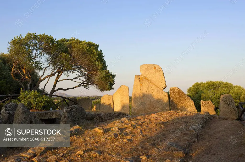 Tomba di Li Lolghi grave near Arzachena, Sardinia, Italy, Europe