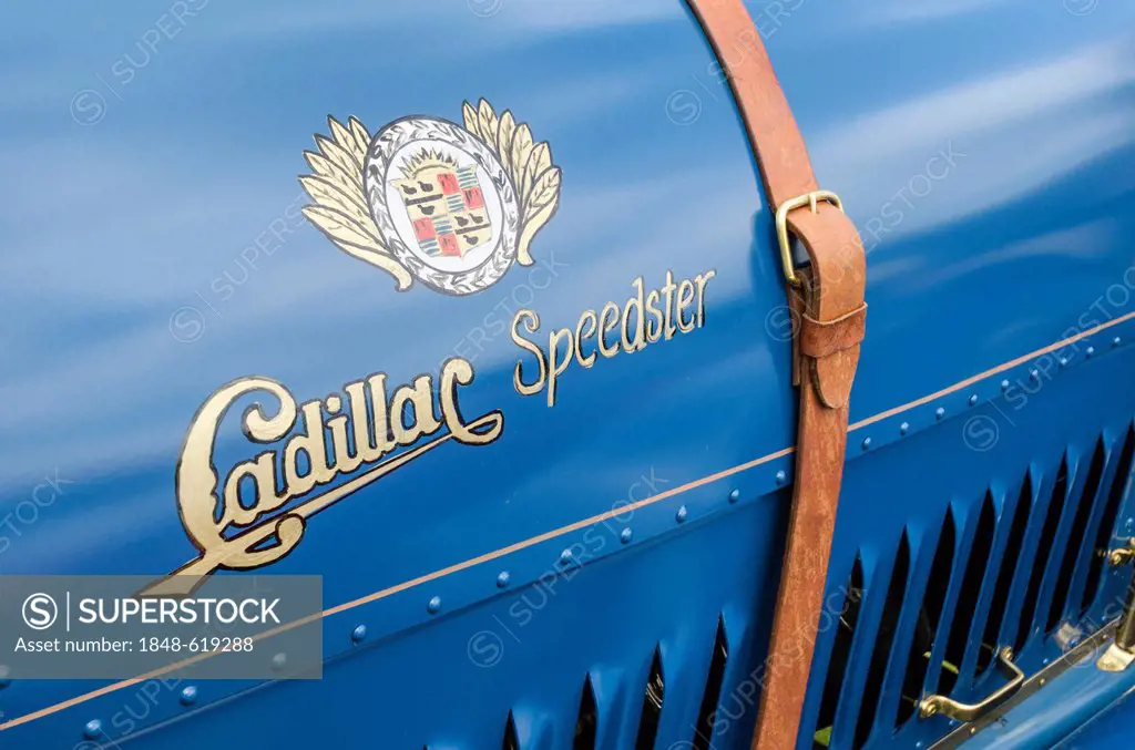 Hand-painted logo and lettering of the U.S.-American car maker Cadillac, festival of classic cars Retro Classics meets Barock, Schloss Ludwigsburg Pal...