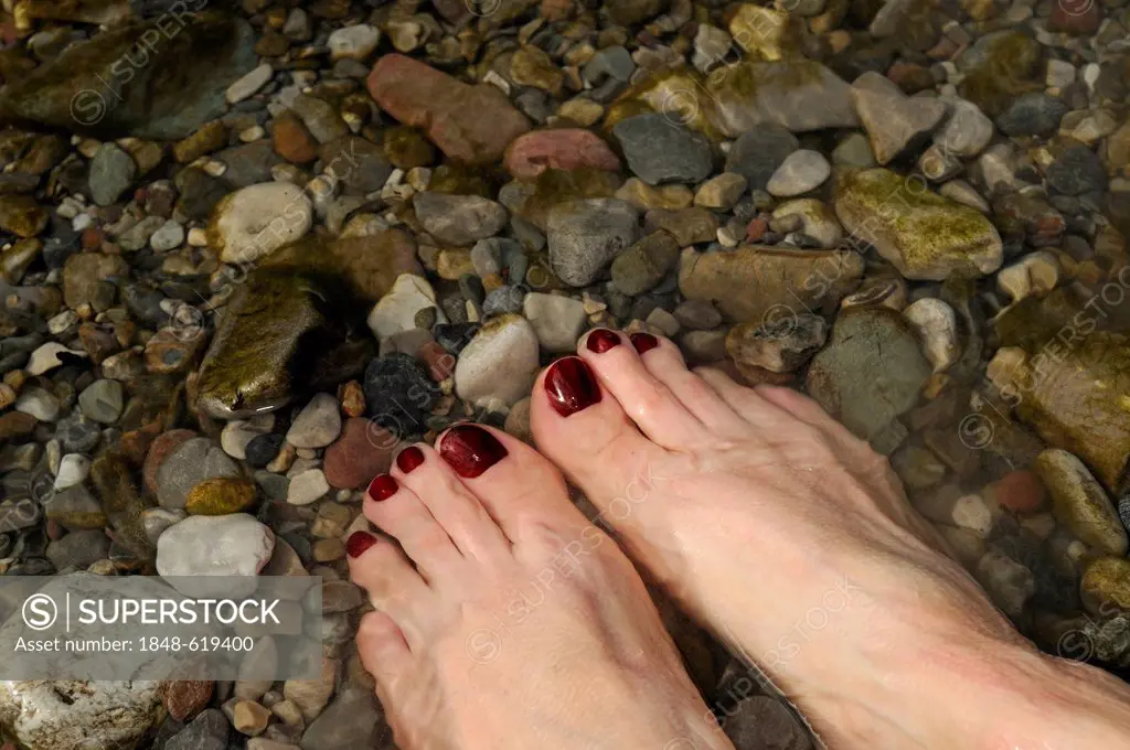 Feet with painted toenails splashing in a river, Klobenstein, Tiroler Ache river, Tyrol, Austria, Europe