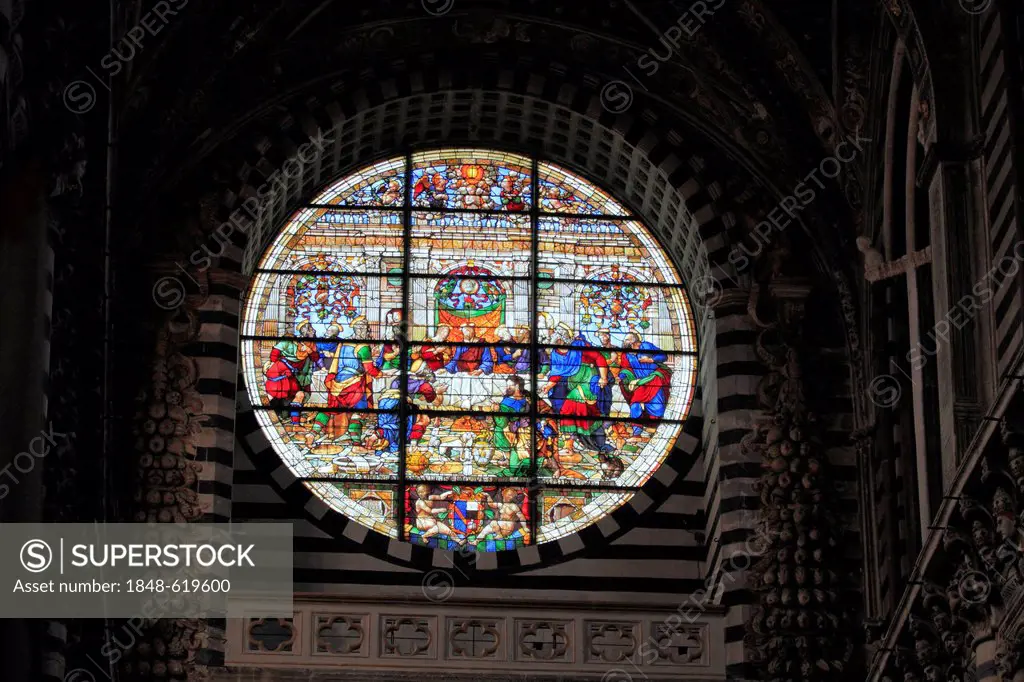 Rose window of the main façade, Siena Cathedral or Cathedral of Santa Maria Assunta, Siena, Tuscany, Italy, Europe