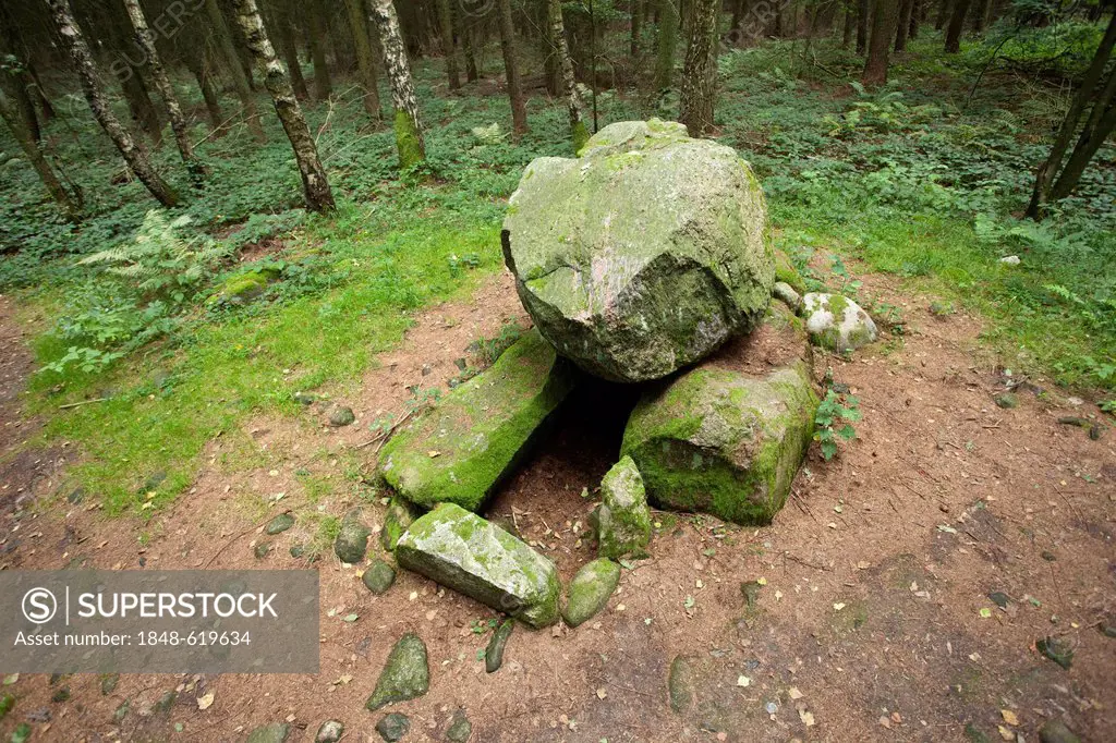 Ancient dolmen, Everstorfer Forest, Kluetzer Winkel, Mecklenburg-Western Pomerania, Germany, Europe