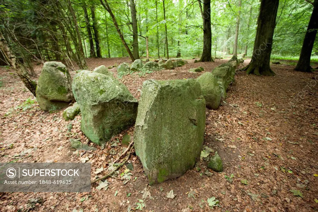Giant's bed, Everstorfer Forest, Kluetzer Winkel, Mecklenburg-Western Pomerania, Germany, Europe