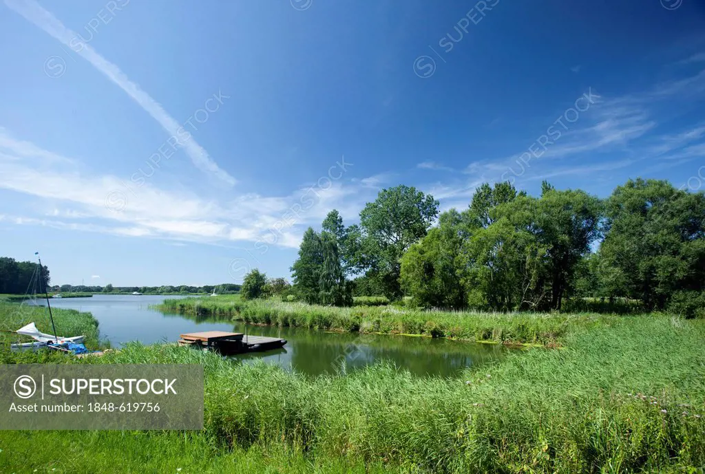 Lake Gothensee, Usedom, Mecklenburg-Western Pomerania, Germany, Europe