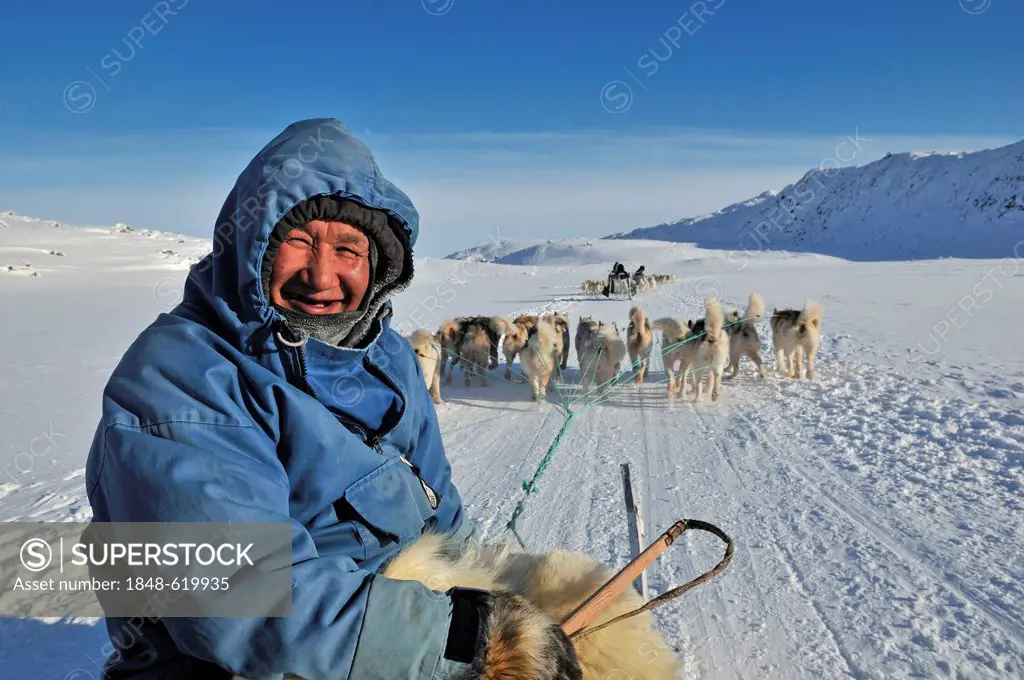 Sled dog tour to the Ilulissat fjord, Greenland, Arctic North America