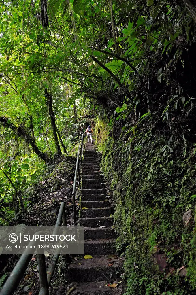 Stairs to the waterfall near the Arenal Observatory Lodge, Alajuela Province, Costa Rica, Central America