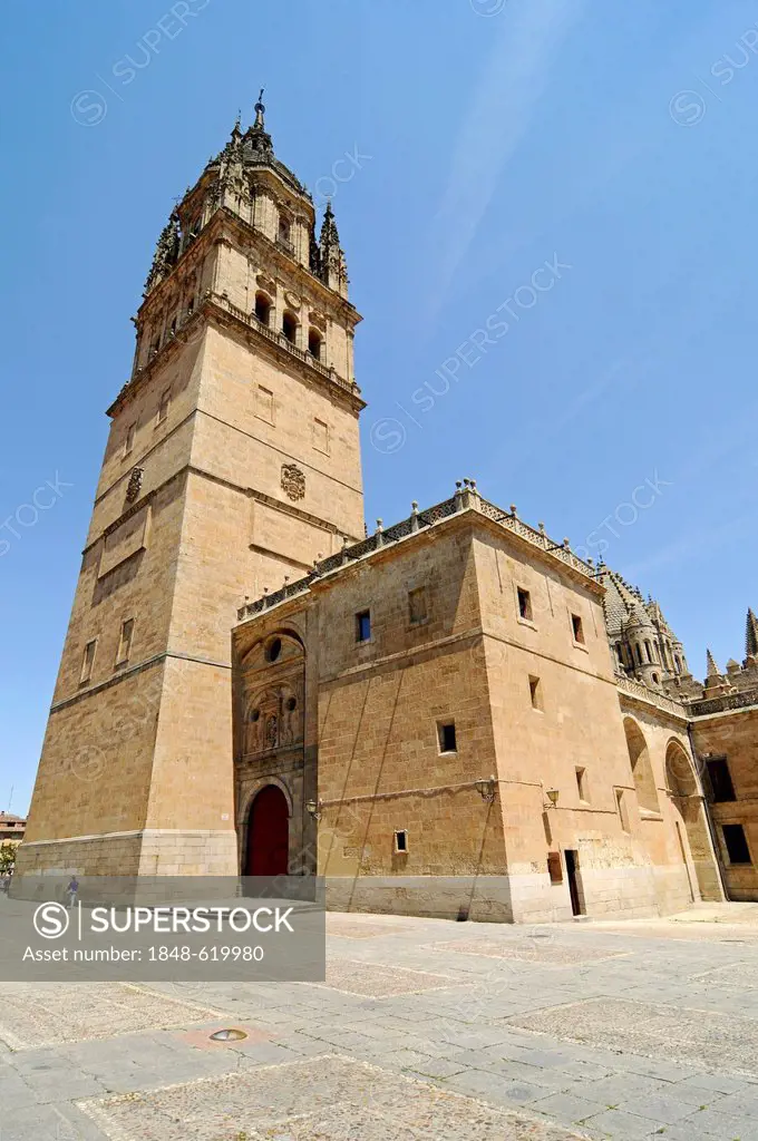 Ieronimus Tower, Old Cathedral, Salamanca, Castile-Leon, Spain, Europe, PublicGround