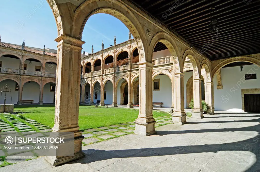 Colegio de los Irlandeses, Colegio Mayor de Arzobispo Fonseca, historical college buildings, palace, Salamanca, Castile-Leon, Spain, Europe