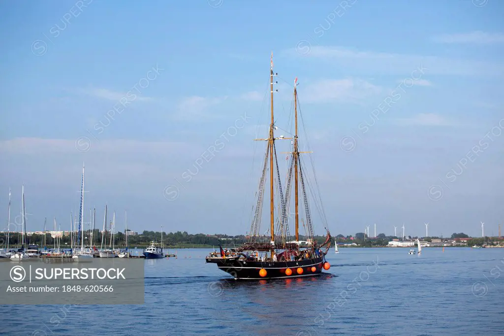 Hanse Sail sailboat, Rostock, Mecklenburg-Western Pomerania, Germany, Europe