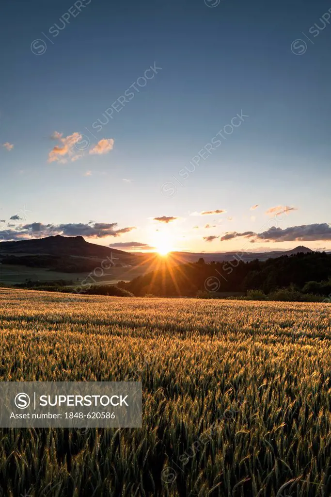 View across a wheat field at sunset, Hohenstoffeln volcano and Hohenhewen volcano at the back, Hegau landscape, Baden-Wuerttemberg, Germany, Europe