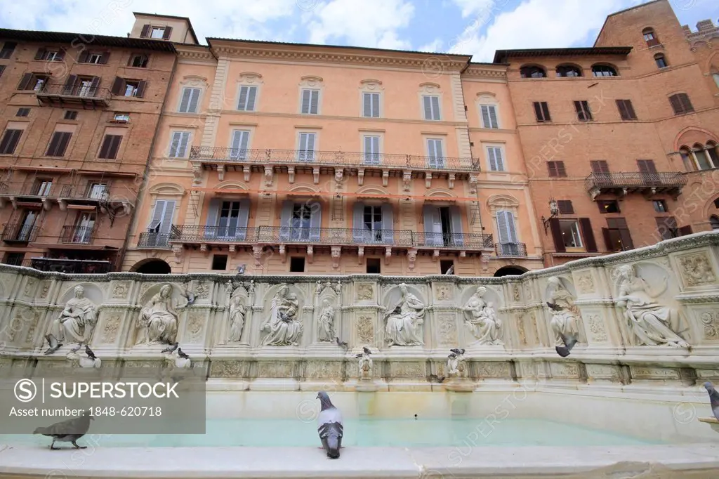 Fonte Gaia fountain, Piazza del Campo square, Siena, Italy, Europe