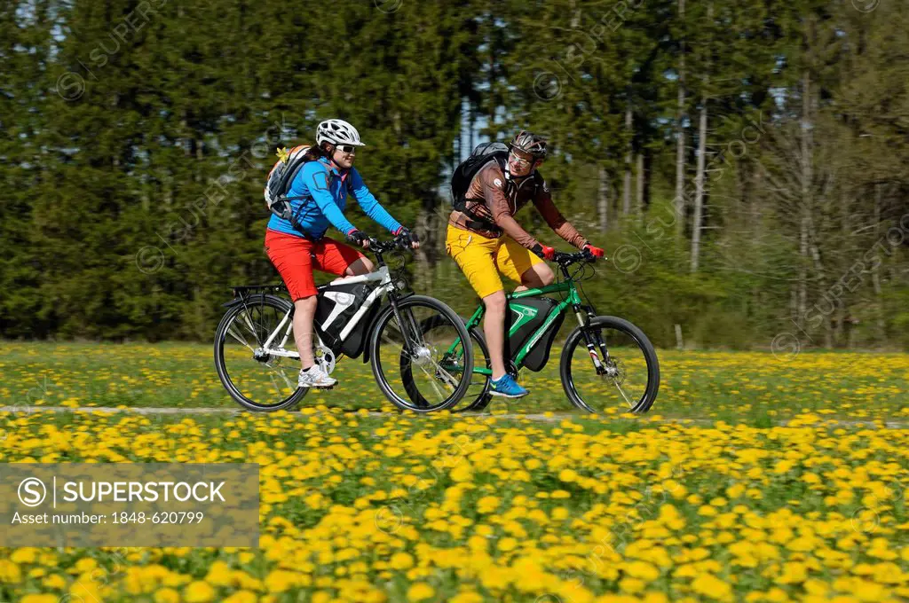 Cyclists on electric bicycles near Wiesmuehl, Chiemgau region, Upper Bavaria, Bavaria, Germany, Europe