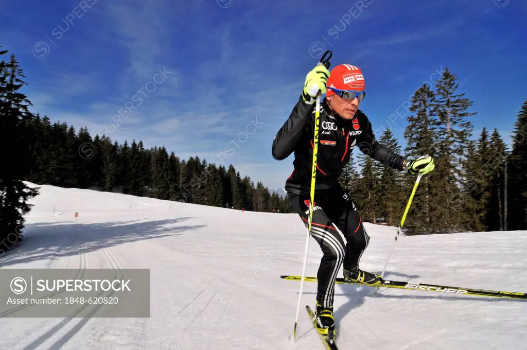 Cross-country skiing, Tobias Angerer, Hemmersuppenalm alp, Reit im Winkl, Chiemgau region, Upper Bavaria, Bavaria, Germany, Europe