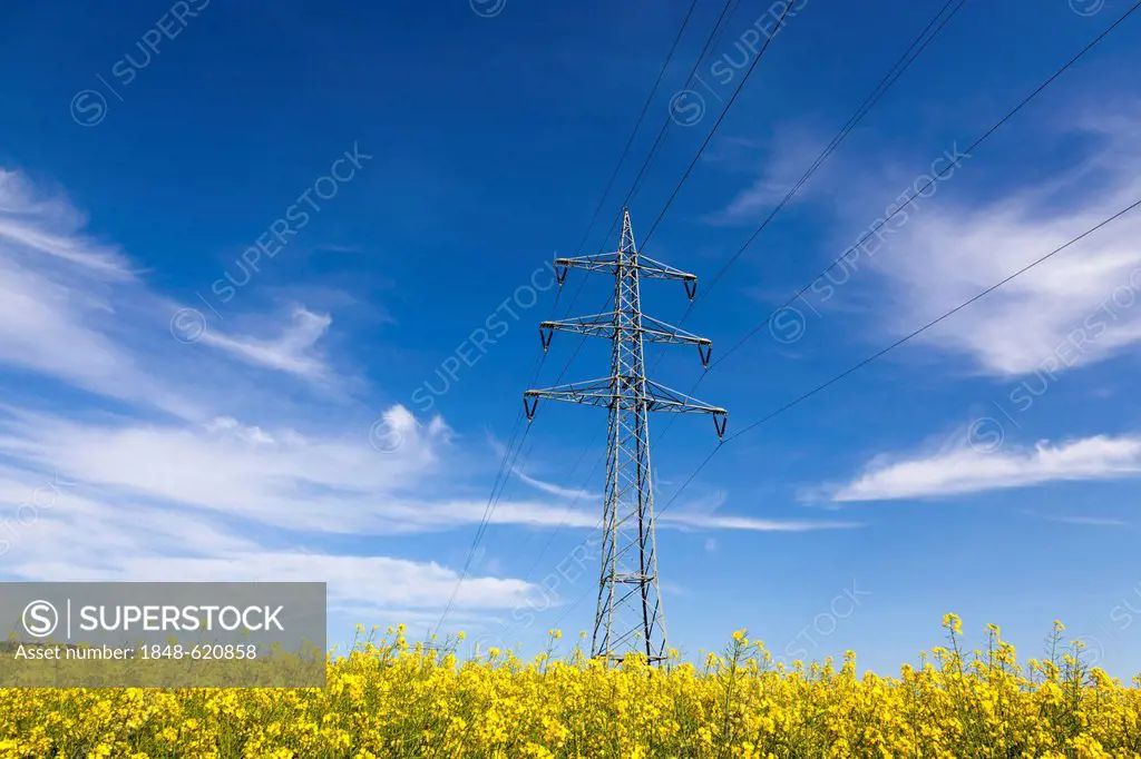Pylon in a rapeseed field against a blue sky, Palatinate, Rhineland-Palatinate, Germany, Europe