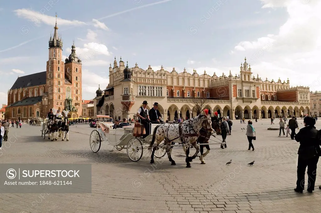 Horse-drawn cab, St Mary's Basilica, Kosciot Mariacki, left, at Rynek Glowny, Main Market Square, with drapers' hall, Krakow, UNESCO World Heritage Si...