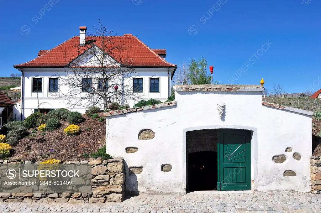 Vineyard estate with a wine cellar in Hadersdorf, Kamptal valley, Langenlois, Lower Austria, Austria, Europe