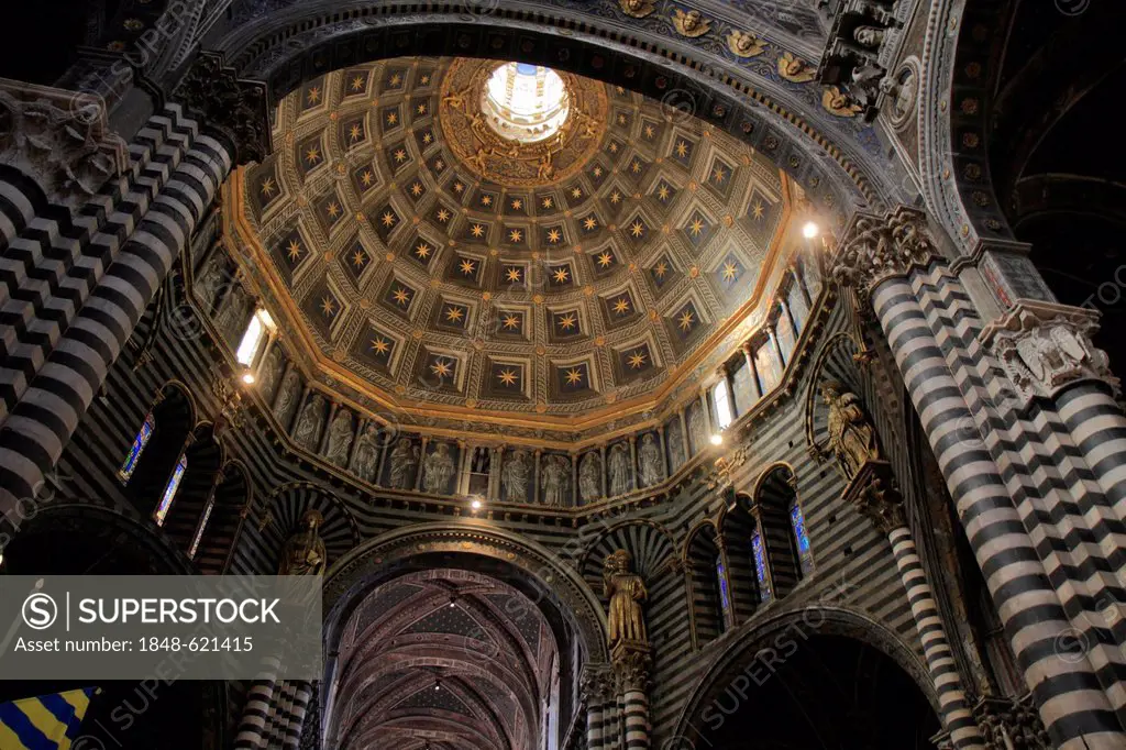 Dome of the transept, Siena Cathedral or Cathedral of Santa Maria Assunta, Siena, Tuscany, Italy, Europe