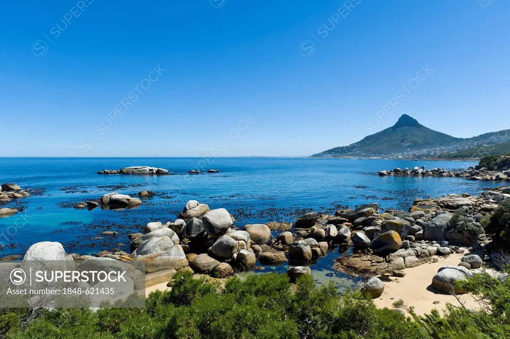 Coastline south of Camps Bay near Cape Town, Mt Lion's Head at back, Southern Cape region, South Africa, Africa