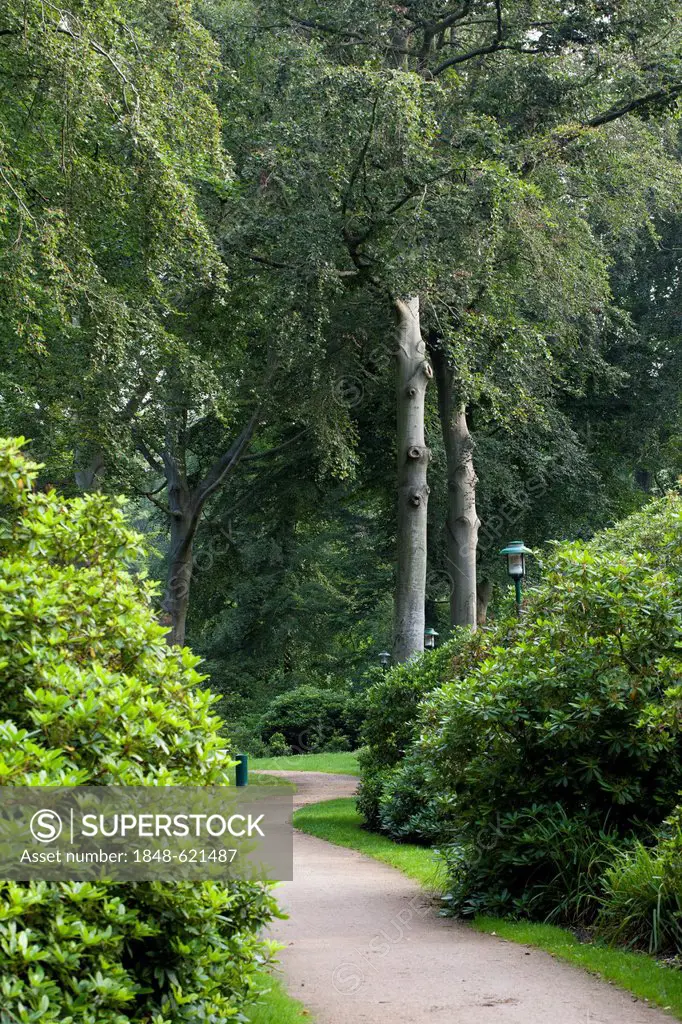 Rhododendron Park, Graal-Mueritz, Mecklenburg-Western Pomerania, Germany, Europe