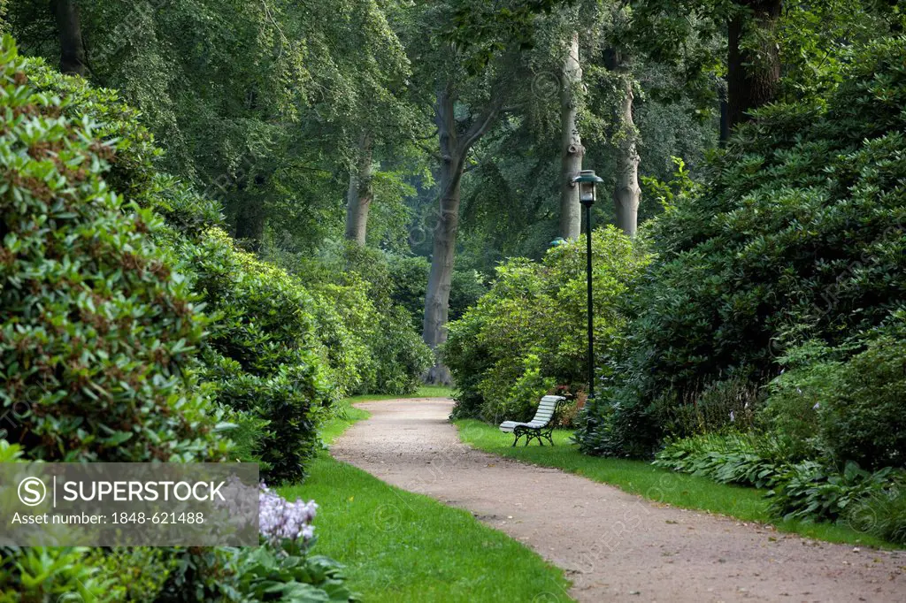Rhododendron Park, Graal-Mueritz, Mecklenburg-Western Pomerania, Germany, Europe