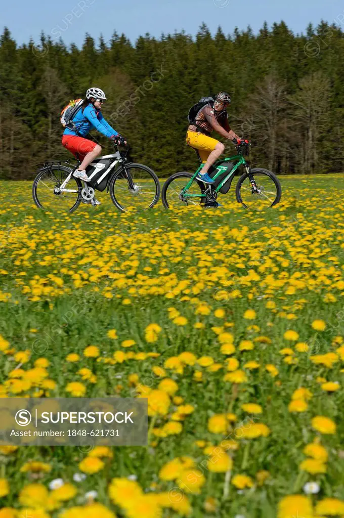 Cyclists on electric bicycles near Wiesmuehl, Chiemgau region, Upper Bavaria, Bavaria, Germany, Europe