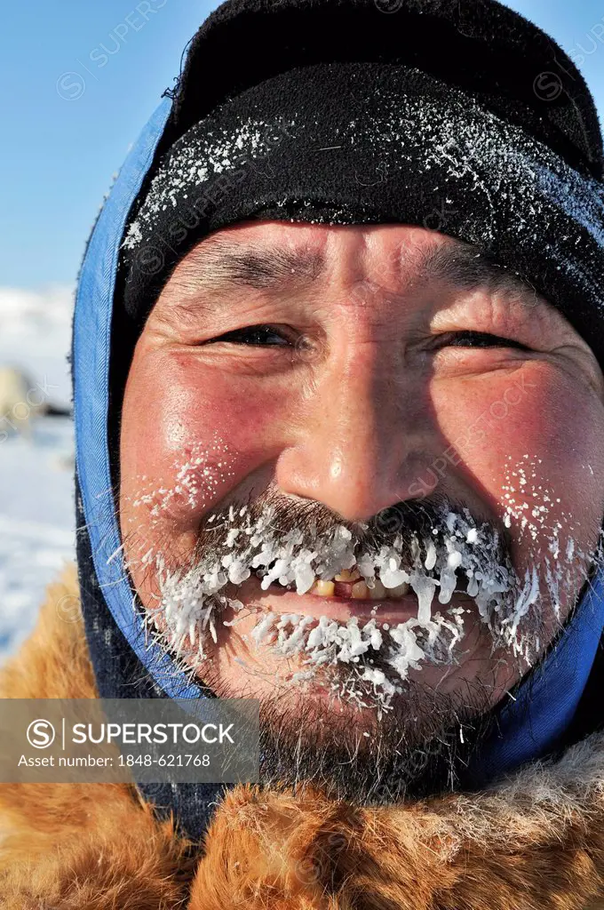 Sled dog handler, portrait, Ilulissat, Greenland, Arctic North America