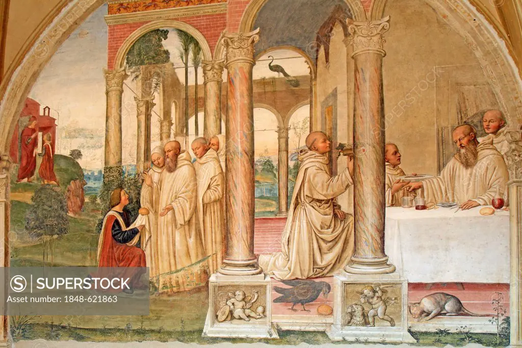 Fresco series depicting the life of St. Benedict, fresco by Sodoma, scene 18, Florentinus trying to poison Benedict, cloister of Abbazia di Monte Oliv...