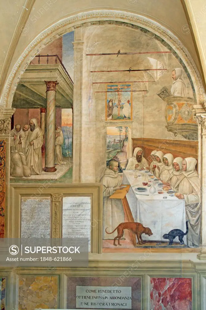 Fresco series depicting the life of St. Benedict, fresco by Sodoma, scene 30, Benedict feeding his monks, cloister of Abbazia di Monte Oliveto Maggior...