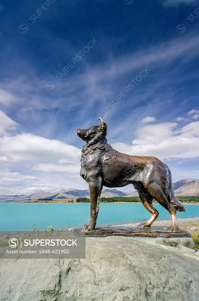Famous dog statue, Mackenzie Sheep Dog, monument by Innes Elliott, 1968, donated by the farmers of Mackenzie County, Lake Tekapo, Fairlie, South Islan...