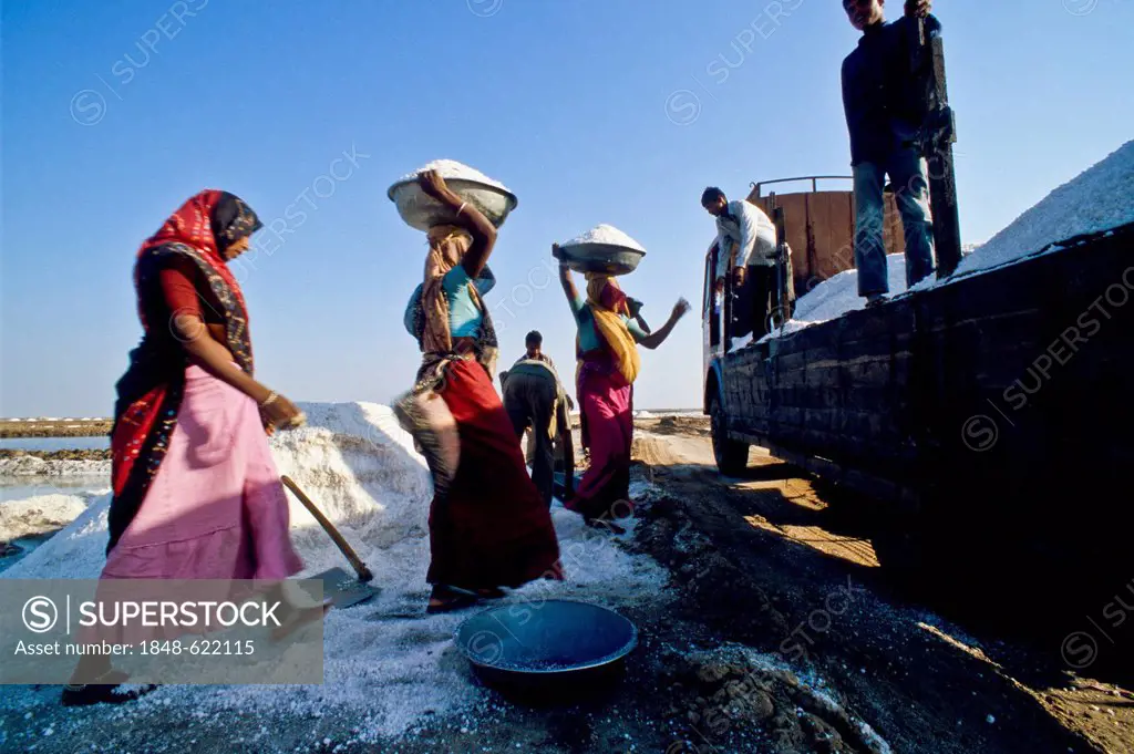 Saline workers loading salt onto truck, Malya, Gujarat, India