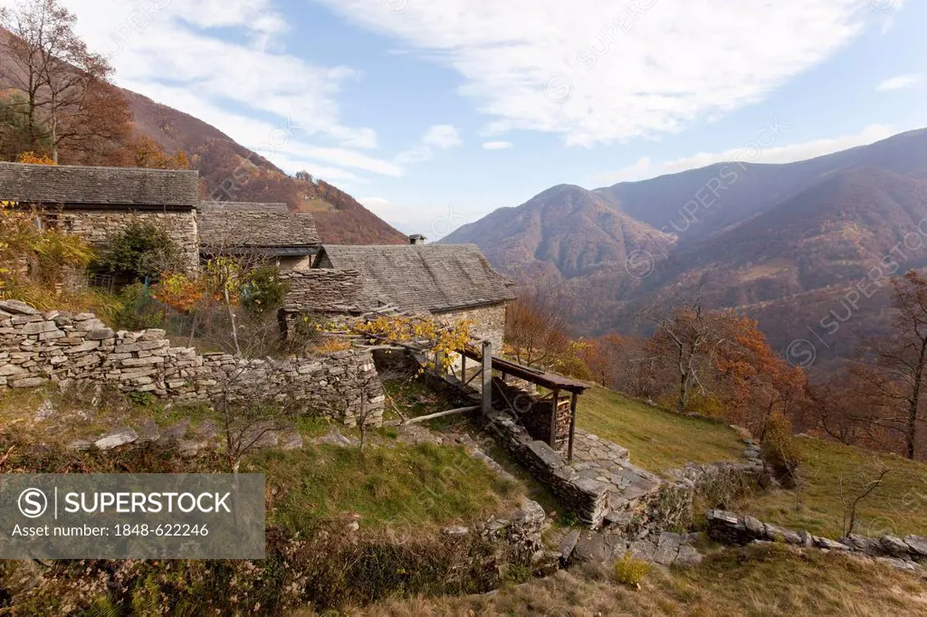 Traditional stone farm houses, Rustico, fall, near Lionza, Tessin, Switzerland, Europe