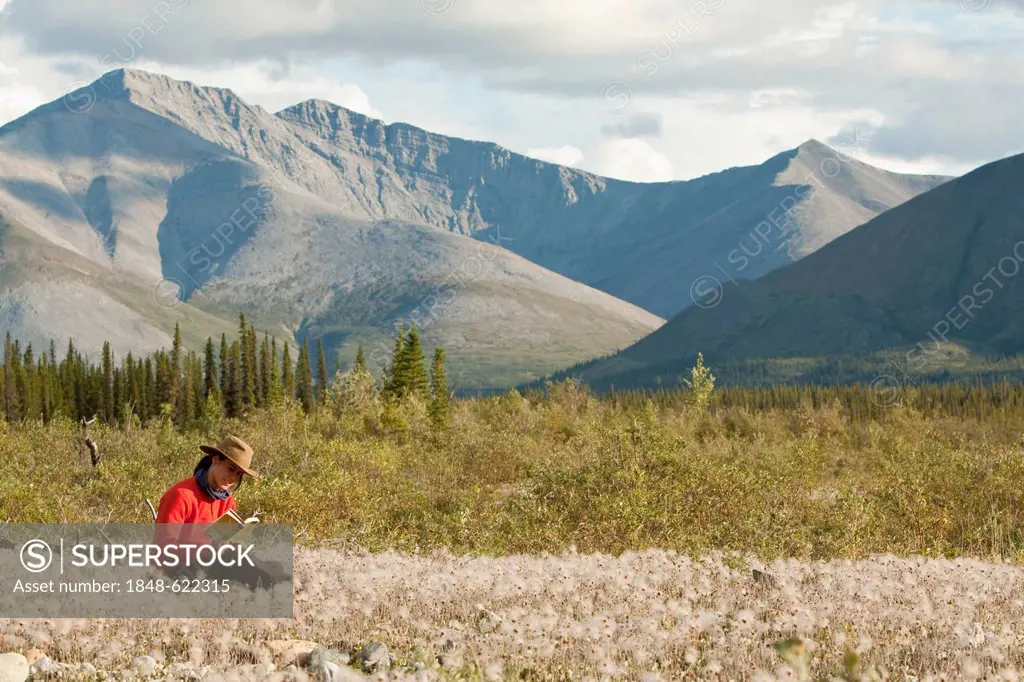 Young woman reading a book, relaxing, sitting in the grass, Cotton Grass, Northern Mackenzie Mountains behind, Wind River, Peel watershed, Yukon Terri...