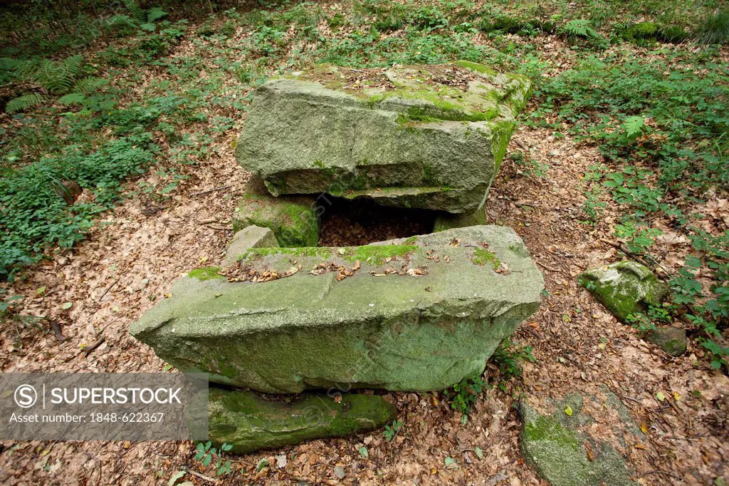 Megalithic tomb, Everstorfer Forest, Kluetzer Winkel, Mecklenburg-Western Pomerania, Germany, Europe