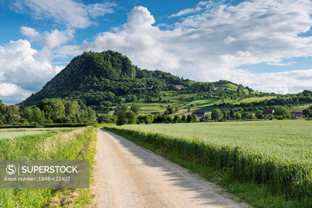 Gravel road, hiking trail leading to the Hohenhewen volcano, Hegau landscape, Singen, Baden-Wuerttemberg, Germany, Europe
