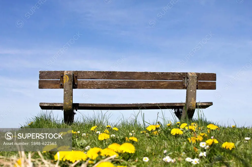 An old bench on the Baltic Sea, Habernis, Schleswig-Holstein, Germany, Europe
