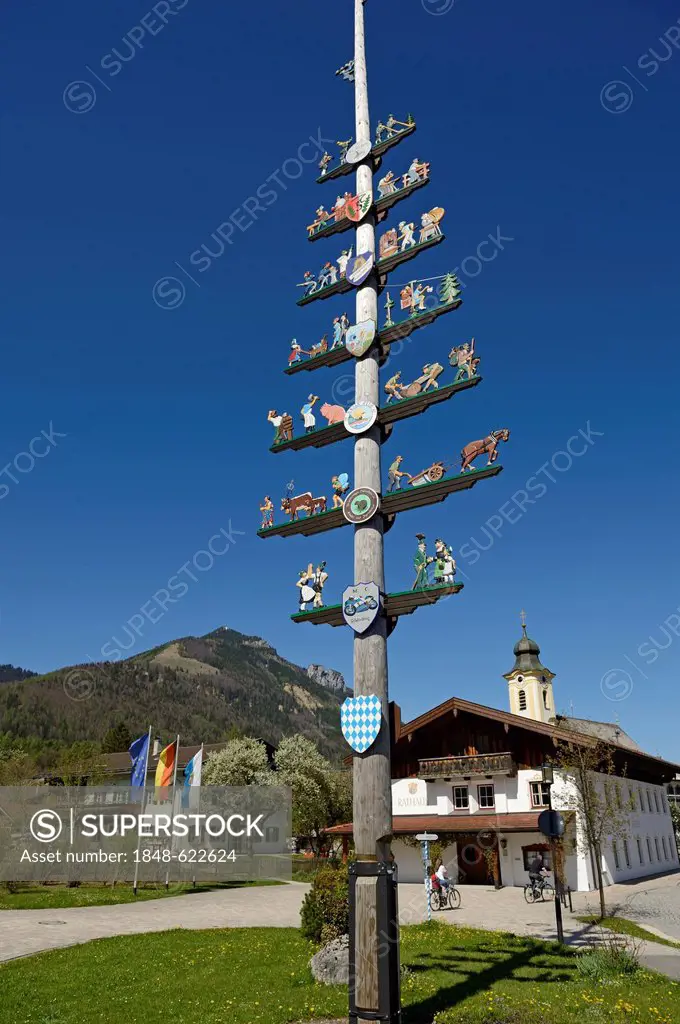 Maypole, Schleching, Chiemgau region, Upper Bavaria, Bavaria, Germany, Europe