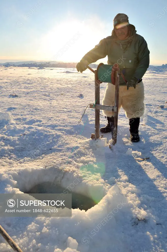 Inuit fisherman during longline fishing on Ilulissat Fjord, Greenland, Arctic North America